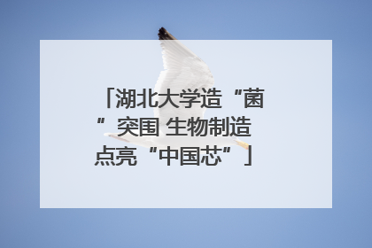 湖北大学造“菌”突围 生物制造点亮“中国芯”