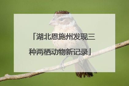 湖北恩施州发现三种两栖动物新记录