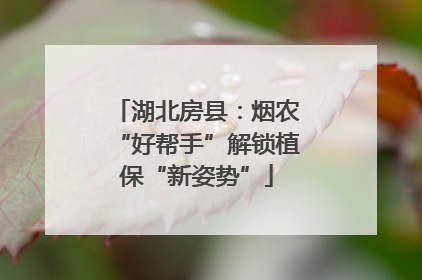 湖北房县：烟农“好帮手”解锁植保“新姿势”