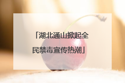 湖北通山掀起全民禁毒宣传热潮