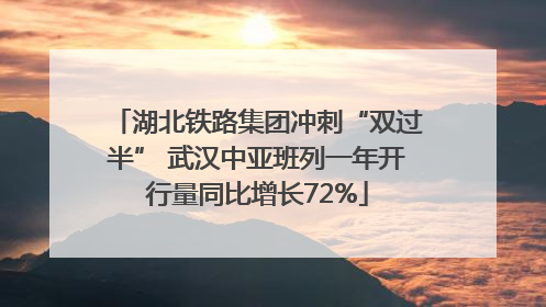 湖北铁路集团冲刺“双过半” 武汉中亚班列一年开行量同比增长72%