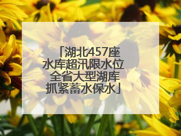 湖北457座水库超汛限水位 全省大型湖库抓紧蓄水保水