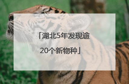 湖北5年发现逾20个新物种