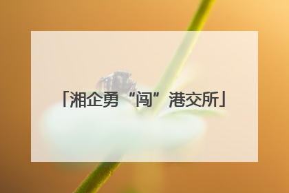 湘企勇“闯”港交所