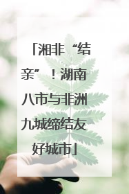 湘非“结亲”！湖南八市与非洲九城缔结友好城市
