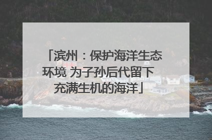 滨州：保护海洋生态环境 为子孙后代留下充满生机的海洋