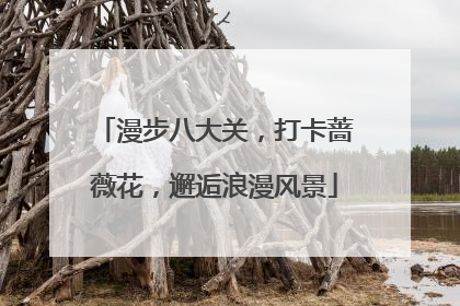 漫步八大关，打卡蔷薇花，邂逅浪漫风景