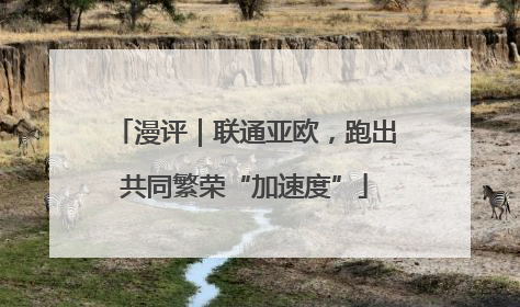漫评｜联通亚欧，跑出共同繁荣“加速度”