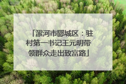 漯河市郾城区：驻村第一书记王元明带领群众走出致富路
