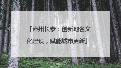 漳州长泰：创新地名文化建设，赋能城市更新