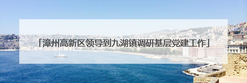 漳州高新区领导到九湖镇调研基层党建工作