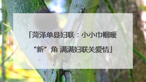 菏泽单县妇联：小小巾帼暖“新”角 满满妇联关爱情
