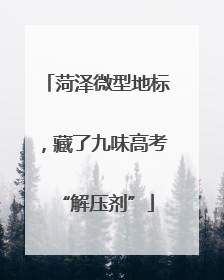 菏泽微型地标，藏了九味高考“解压剂”