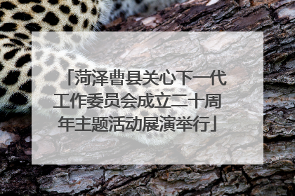 菏泽曹县关心下一代工作委员会成立二十周年主题活动展演举行