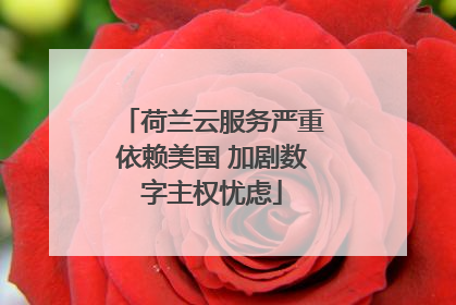 荷兰云服务严重依赖美国 加剧数字主权忧虑