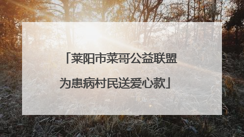 莱阳市菜哥公益联盟为患病村民送爱心款