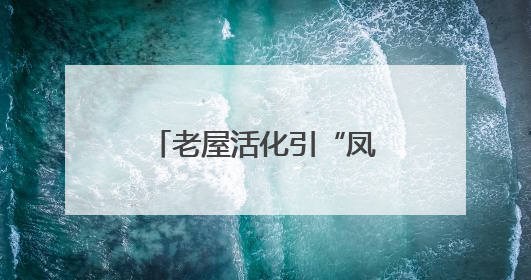 老屋活化引“凤”来，梨园村蝶变“网红村”