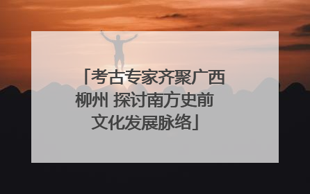 考古专家齐聚广西柳州 探讨南方史前文化发展脉络