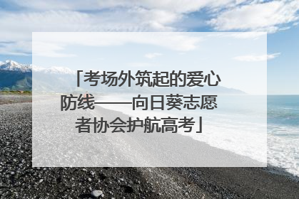 考场外筑起的爱心防线——向日葵志愿者协会护航高考