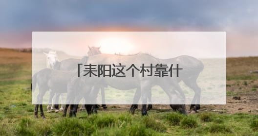 耒阳这个村靠什么获评“第七届全国文明村”？