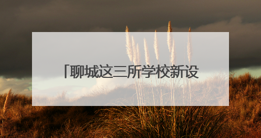 聊城这三所学校新设“安全岛”，学生上学路交通安全升级