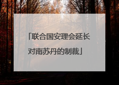 联合国安理会延长对南苏丹的制裁