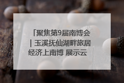 聚焦第9届南博会｜玉溪抚仙湖畔旅居经济上南博 展示云南生活新样本