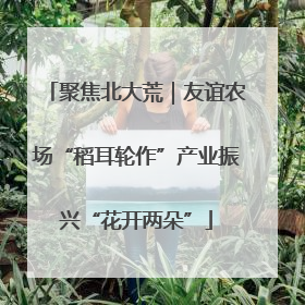 聚焦北大荒｜友谊农场“稻耳轮作”产业振兴“花开两朵”
