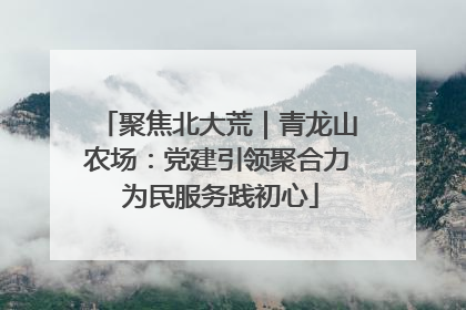 聚焦北大荒｜青龙山农场：党建引领聚合力 为民服务践初心