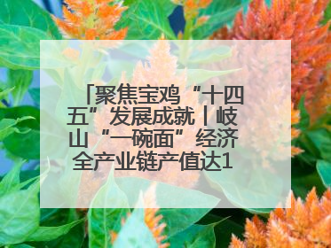 聚焦宝鸡“十四五”发展成就丨岐山“一碗面”经济全产业链产值达162亿元 入选全国典型县