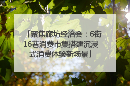 聚焦廊坊经洽会：6街16巷消费市集搭建沉浸式消费体验新场景