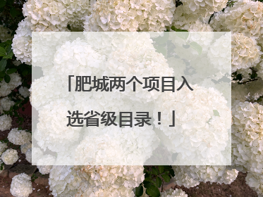 肥城两个项目入选省级目录！
