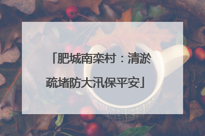 肥城南栾村：清淤疏堵防大汛保平安