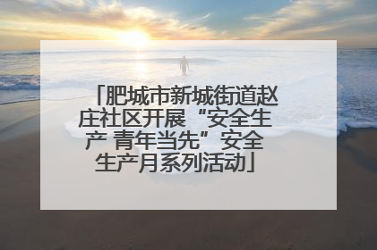 肥城市新城街道赵庄社区开展“安全生产 青年当先”安全生产月系列活动