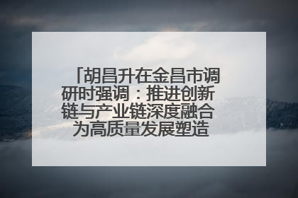 胡昌升在金昌市调研时强调：推进创新链与产业链深度融合 为高质量发展塑造新动能新优势