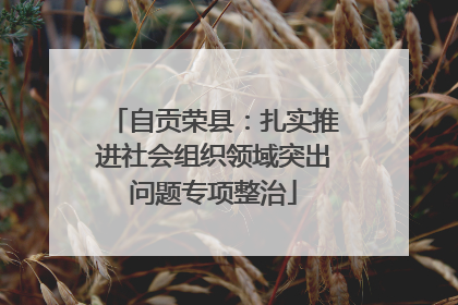 自贡荣县：扎实推进社会组织领域突出问题专项整治