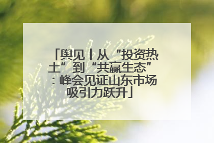 舆见丨从“投资热土”到“共赢生态”：峰会见证山东市场吸引力跃升
