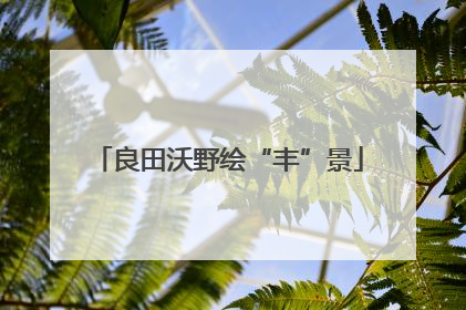良田沃野绘“丰”景