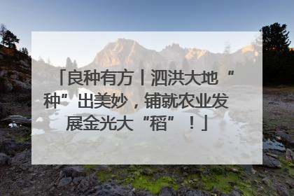 良种有方丨泗洪大地“种”出美妙，铺就农业发展金光大“稻”！