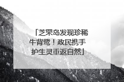 芝罘岛发现珍稀牛背鹭！政民携手护生灵重返自然
