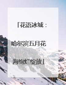 花语冰城：哈尔滨五月花海绚烂绽放