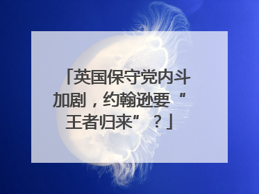 英国保守党内斗加剧，约翰逊要“王者归来”？