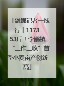 融媒记者一线行丨1173.53斤！李鹊镇“三作三收”首季小麦亩产创新高