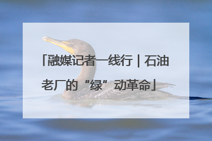融媒记者一线行｜石油老厂的“绿”动革命