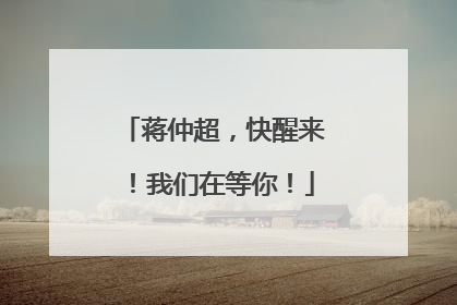 蒋仲超，快醒来！我们在等你！