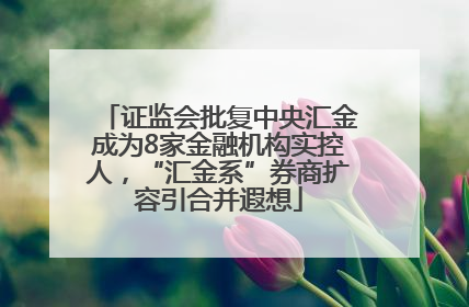 证监会批复中央汇金成为8家金融机构实控人，“汇金系”券商扩容引合并遐想