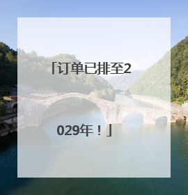 订单已排至2029年！