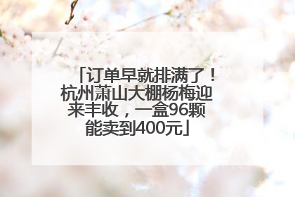 订单早就排满了！杭州萧山大棚杨梅迎来丰收，一盒96颗能卖到400元