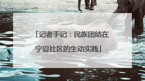 记者手记：民族团结在宁夏社区的生动实践