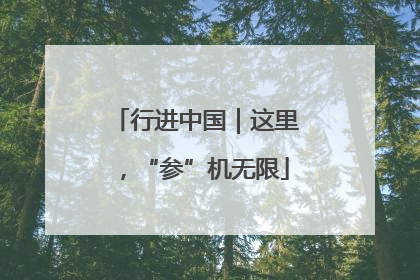 行进中国｜这里，“参”机无限